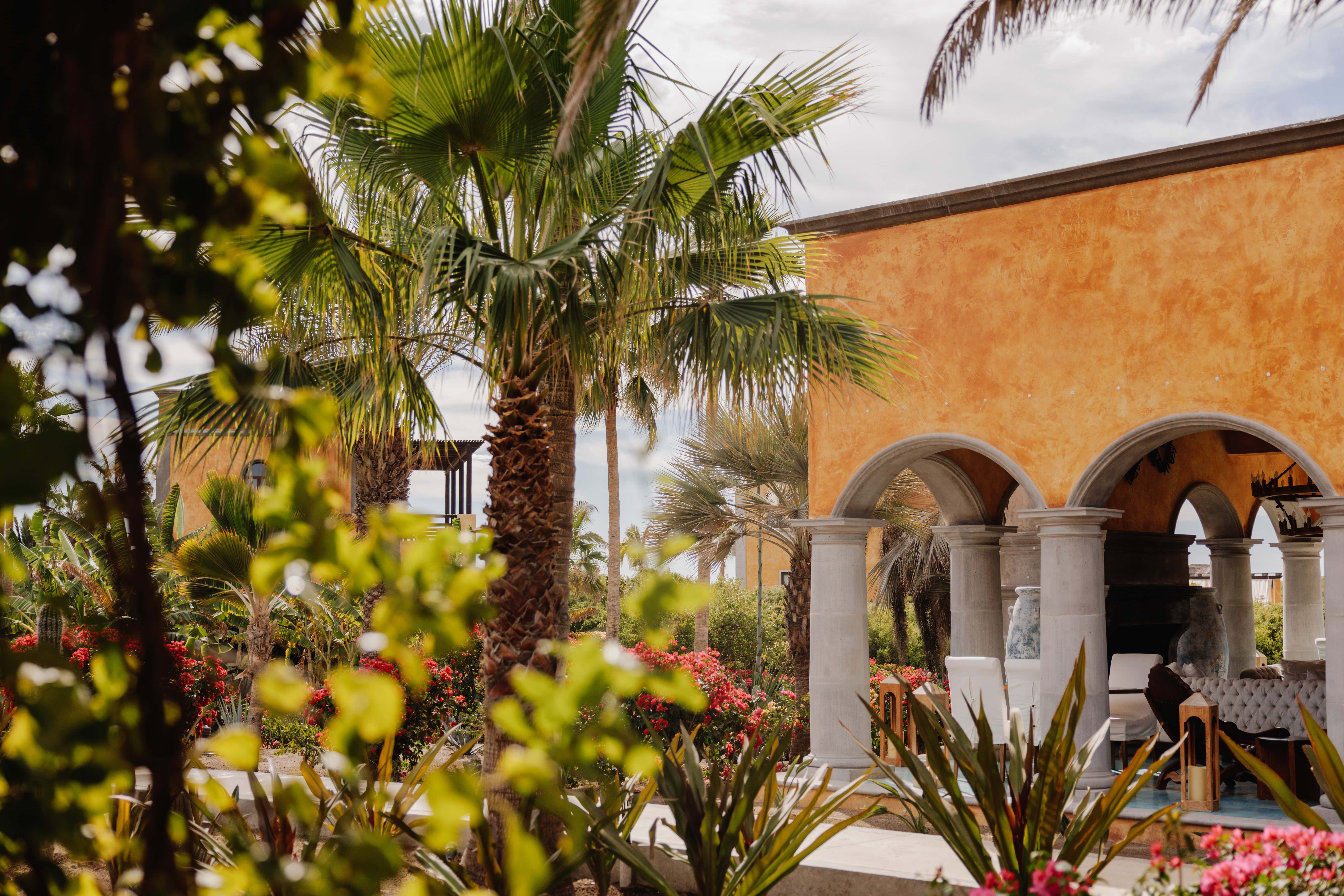 Best wedding venues in Todos Santos Best wedding venues in Todos Santos